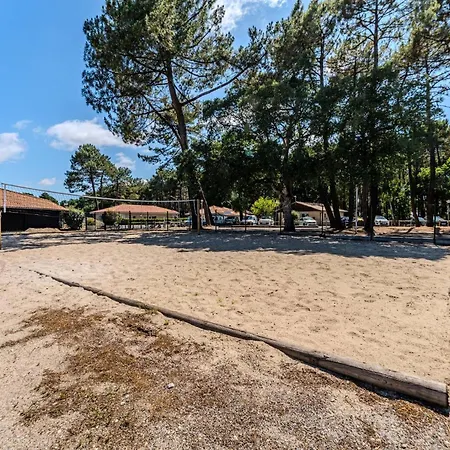 La N°1 - Bassin D'arcachon Gujan-Mestras
